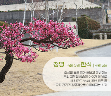 청명 · 한식 기간<br>산불 예방 및 성묘 안내