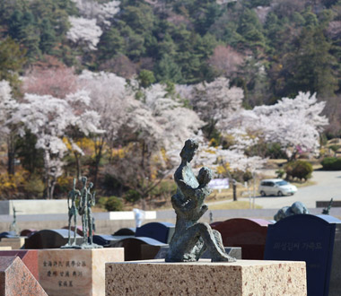 2026년 봄,<br>가장 따뜻한 순간