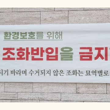 성묘 조화 꽃 미세 플라스틱과 탄소 배출 주범