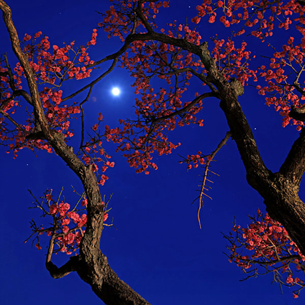 해 지고 달 뜨는 시간 나만의 놀이터 혼자놀기