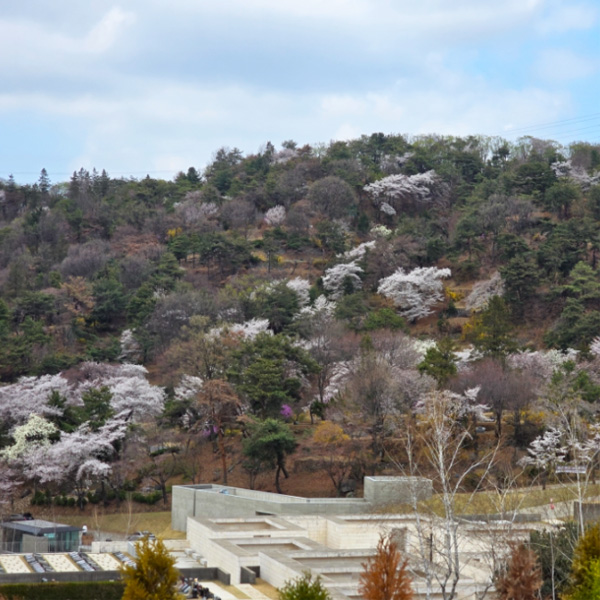 꽃대궐 같은 산에 둘러싸인 조용한 추모공간