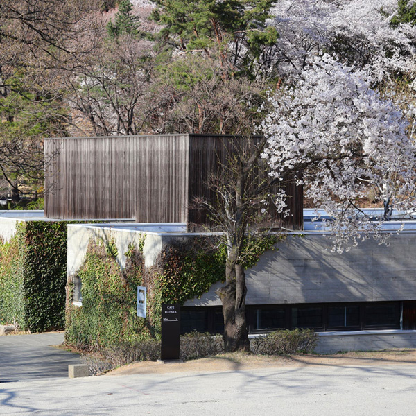 2026년 봄, 가장 따뜻한 순간