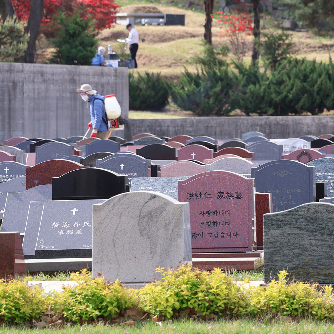 겹벚꽃이 만개한 지난 주 묘역별로 약제작업이 진행되었습니다.